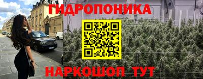 скорость Бийск