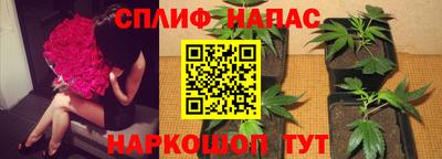скорость Бийск