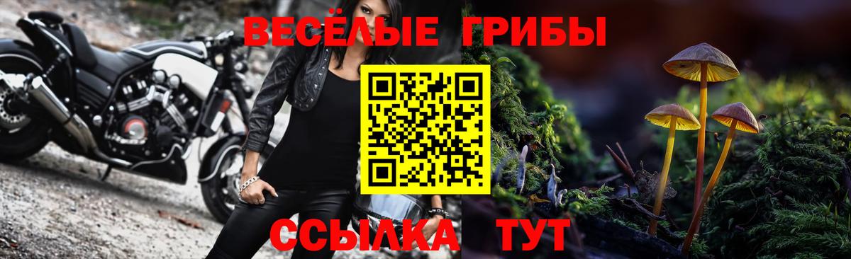 Галлюциногенные грибы Psilocybine cubensis Жуковский