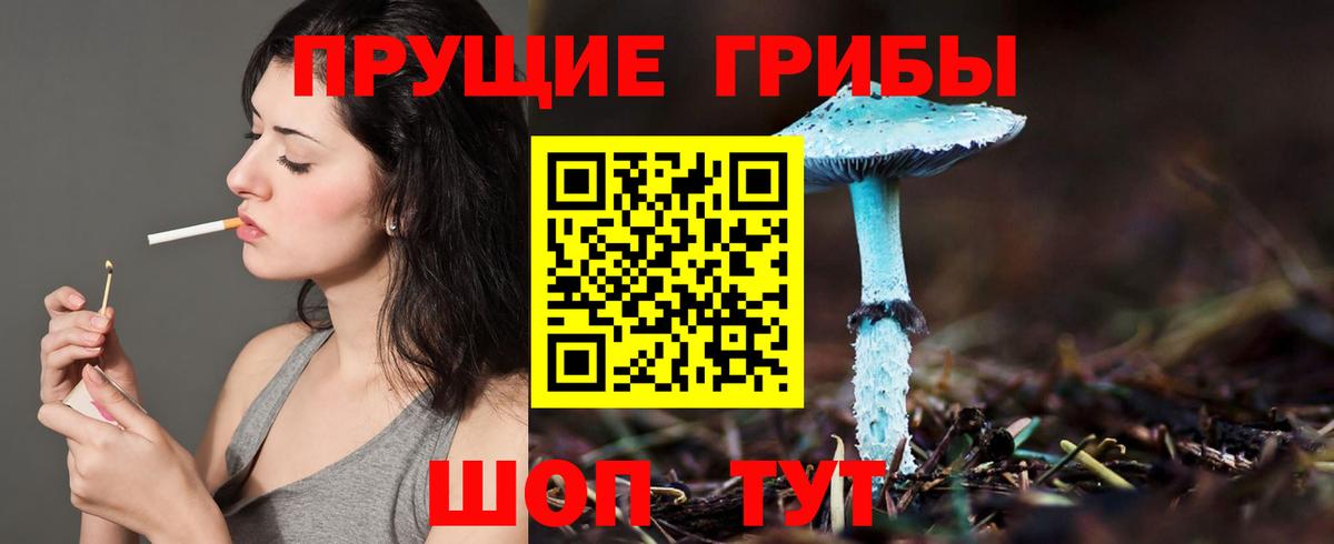 купить  цена  Псилоцибиновые грибы Psilocybine cubensis  Жуковский  Вход с VPN  Галлюциногенные грибы MAGIC MUSHROOMS 